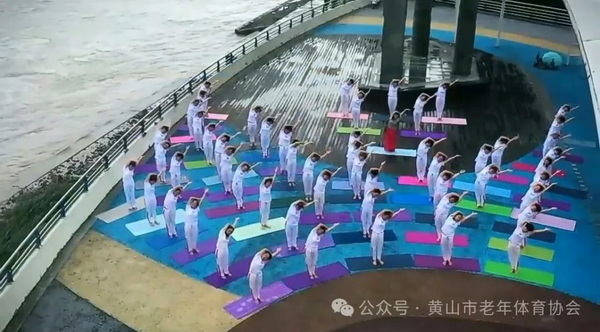 九游体育：2024年黄山市中老年瑜伽健身展示活动暨第十届国际瑜伽日全民健身公益活动举办(图2)