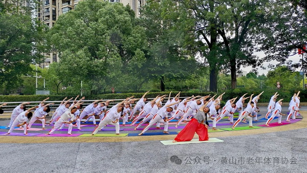 九游体育：2024年黄山市中老年瑜伽健身展示活动暨第十届国际瑜伽日全民健身公益活动举办(图5)