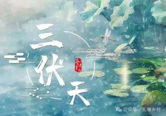 九游体育网站：三伏天到了牢记“一不吃二不洗三不睡”遵守传统平安过伏天(图2)