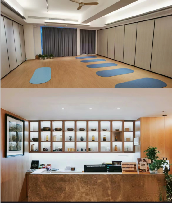 九游体育网站：2024年3月成都武汉上海木村慧心博士瑜伽疗法公开课开启(图5)