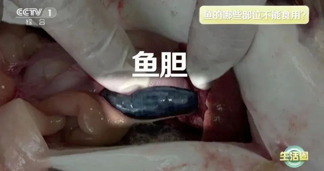 九游体育网站：全部导航(图5)