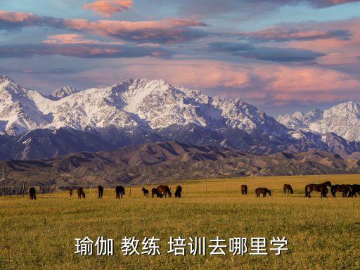 瑜伽教练健身房培训瑜伽不仅是一套大众化或时尚化的健身运动(图1)