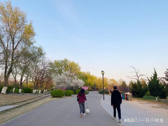 科学运动：迈向健康生活的重要一步(图1)
