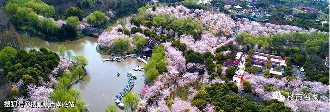 九游体育网站：中建山水雅境【2024网站】中建山水雅境楼盘详情-小区配套(图18)