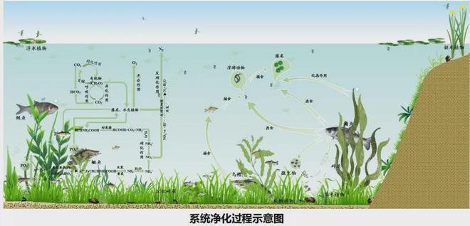 世界在减配它却在加配(图20)
