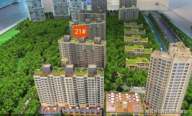 一文读懂(中鹰黑森林)利弊中鹰黑森林图文分析户型价格(图2)