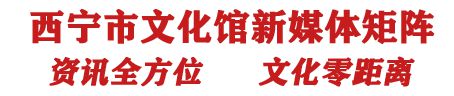九游体育：预约报名·形象穿衣与色彩搭配2024年西宁市文化馆全民艺术普及第四期公益特色培训班(图2)