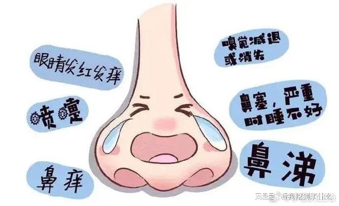 做好这些防止换季红鼻子打喷嚏(图1)