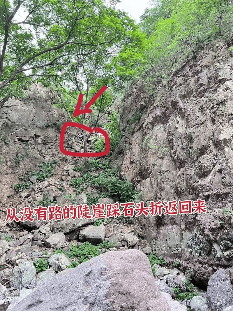 一夜翻车！年轻女人的“避风港”只剩表面风光(图12)