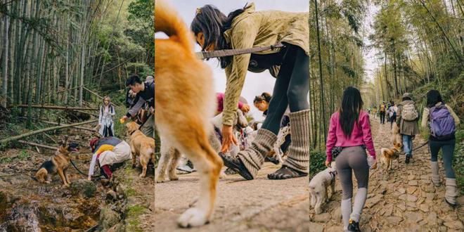 九游体育：两名中国攀登者登顶日乌且峰；游客大牯牛山纵火取暖犀牛说(图18)