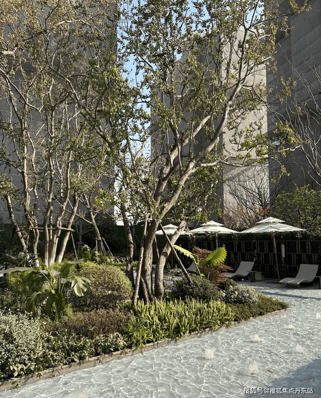 ◈华发海上都荟丨华发海上都荟售楼处发布：匠心筑家幸福满溢(图2)