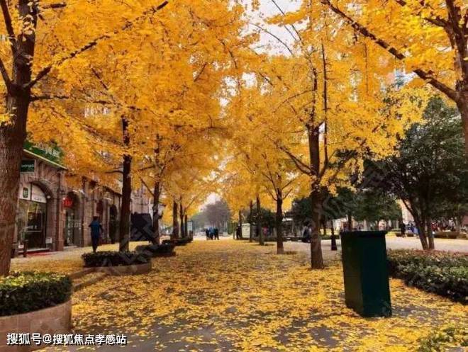 ®古北悦公馆闵行古北悦公馆售楼处发布：心动好房热销(图3)