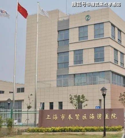 ®泰禾海上院子奉贤泰禾海上院子售楼处发布：滨海诗意居所(图27)