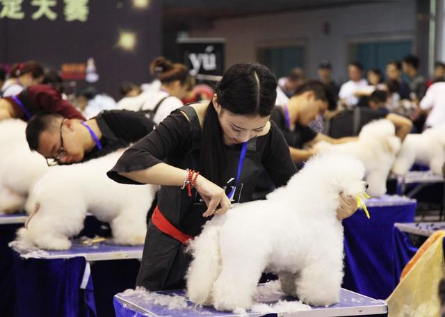 九游体育：社会“怪象”！大量商铺无人租这4大行业却疯狂崛起啥原因？(图6)
