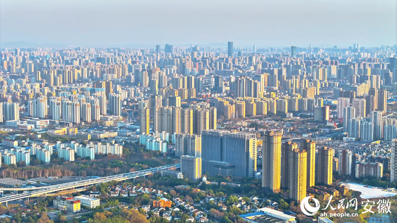 “好房子”來了：合肥創新基因的居住表達(图1)