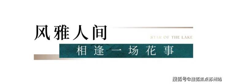 太湖三万顷风华一湾藏藏湖「滨湖四代宅」样板间明日开放诚邀亲鉴!(图9)