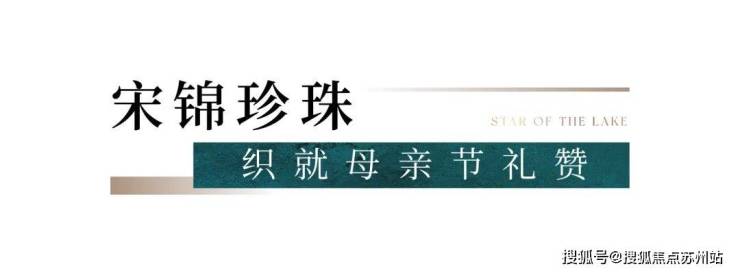 太湖三万顷风华一湾藏藏湖「滨湖四代宅」样板间明日开放诚邀亲鉴!(图10)
