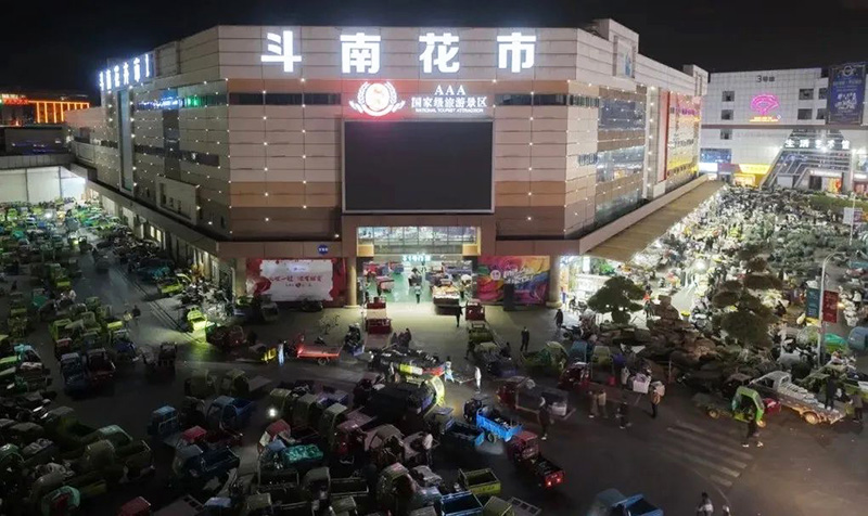 昆明呈贡夜间经济点燃“五一”消费新引擎(图2)