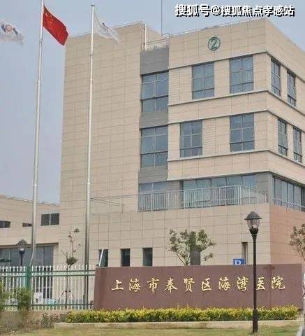 ➿泰禾海上院子丨潮声砌墙月落时抖开一卷凝固海上江南〰️(图33)