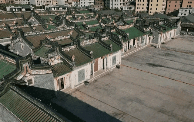 违建豪宅“英之园”已连夜拆除数十台挖机正在作业回应(图14)