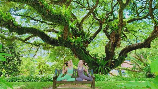 九游体育：新加坡中文瑜伽教练培训课程：直接面向就业！0基础小白也能学～(图3)