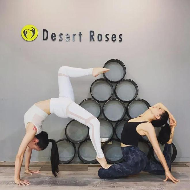 九游体育：新加坡中文瑜伽教练培训课程：直接面向就业！0基础小白也能学～(图5)