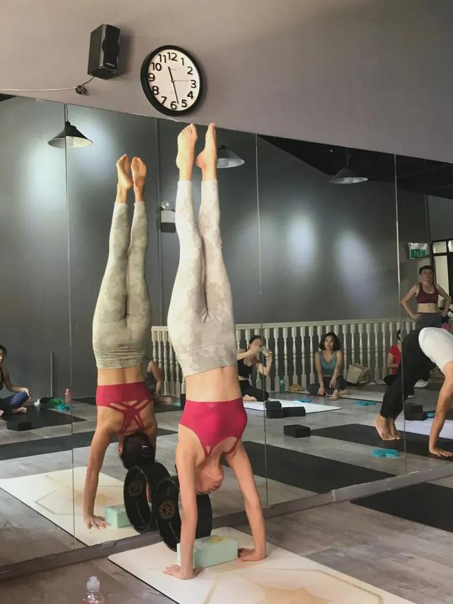 九游体育：新加坡中文瑜伽教练培训课程：直接面向就业！0基础小白也能学～(图12)