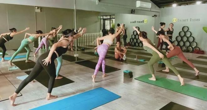 九游体育：新加坡中文瑜伽教练培训课程：直接面向就业！0基础小白也能学～(图15)