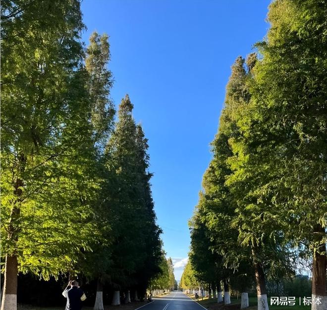 九游体育网站：中国10大宜居城市排行榜假如退休后选择一城终老你会选哪里？(图10)