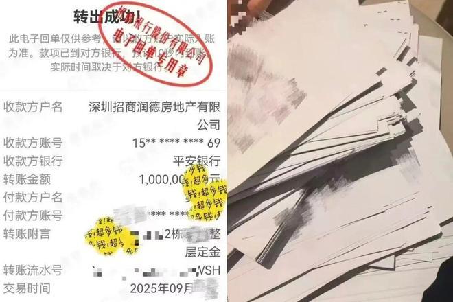 九游体育网站：深圳本季度最热门的公寓！蛇口「望海玥」售楼处发布(图3)