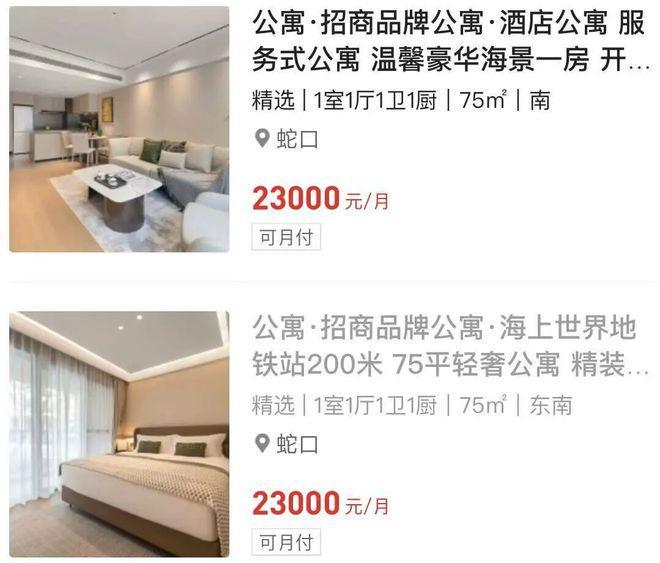 九游体育网站：深圳本季度最热门的公寓！蛇口「望海玥」售楼处发布(图12)