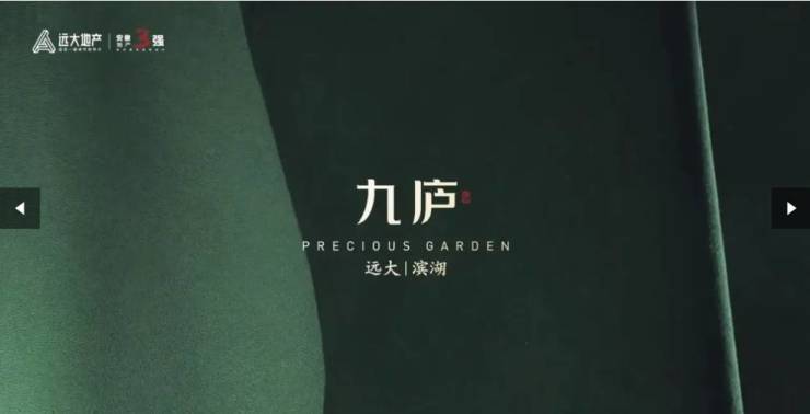 合肥远大九庐楼盘详情-精选笔记(图5)