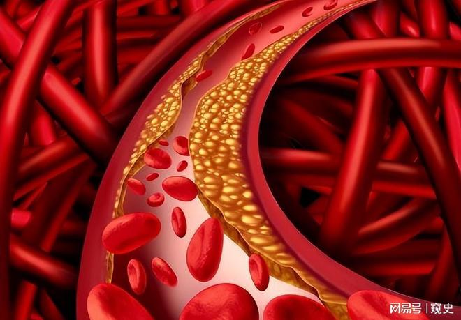 九游体育：52亿美元收购！脂肪肝药物FGF21成跨国药企新战场(图4)