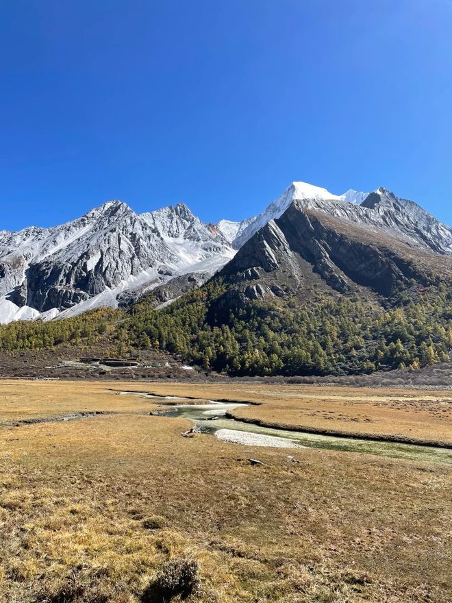 2025四川成都正规旅行社榜：这10家靠谱旅行社闭眼冲！(图4)