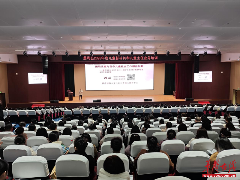 以专业赋能守护童年丨慈利县扎实开展2025年度儿童督导员和儿童主任业务培训(图3)