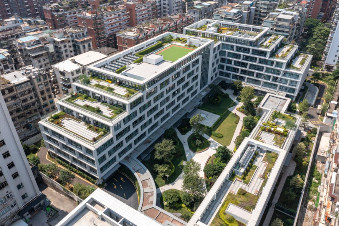 老年教育绘就老有所学幸福图景(图1)