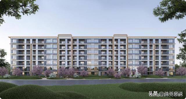 星耀未来｜漫奢实景示范区高光亮相启幕美好生活新篇章(图14)