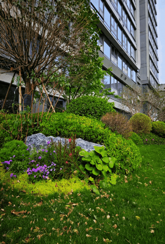 突发！南京一批楼盘启动“收旧换新”直接回收二手房！(图3)