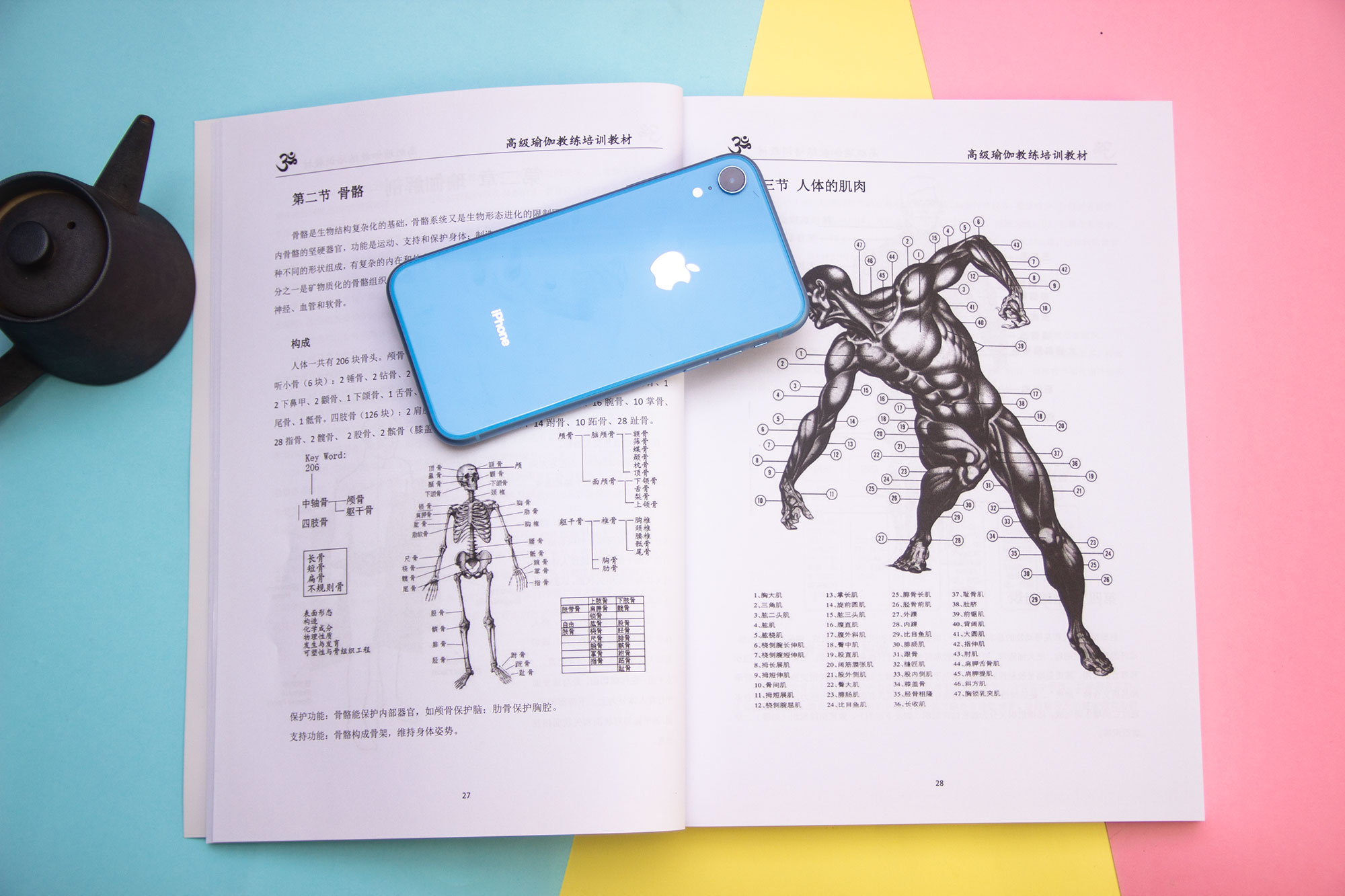 瑜伽教练培训教材目录(图3)