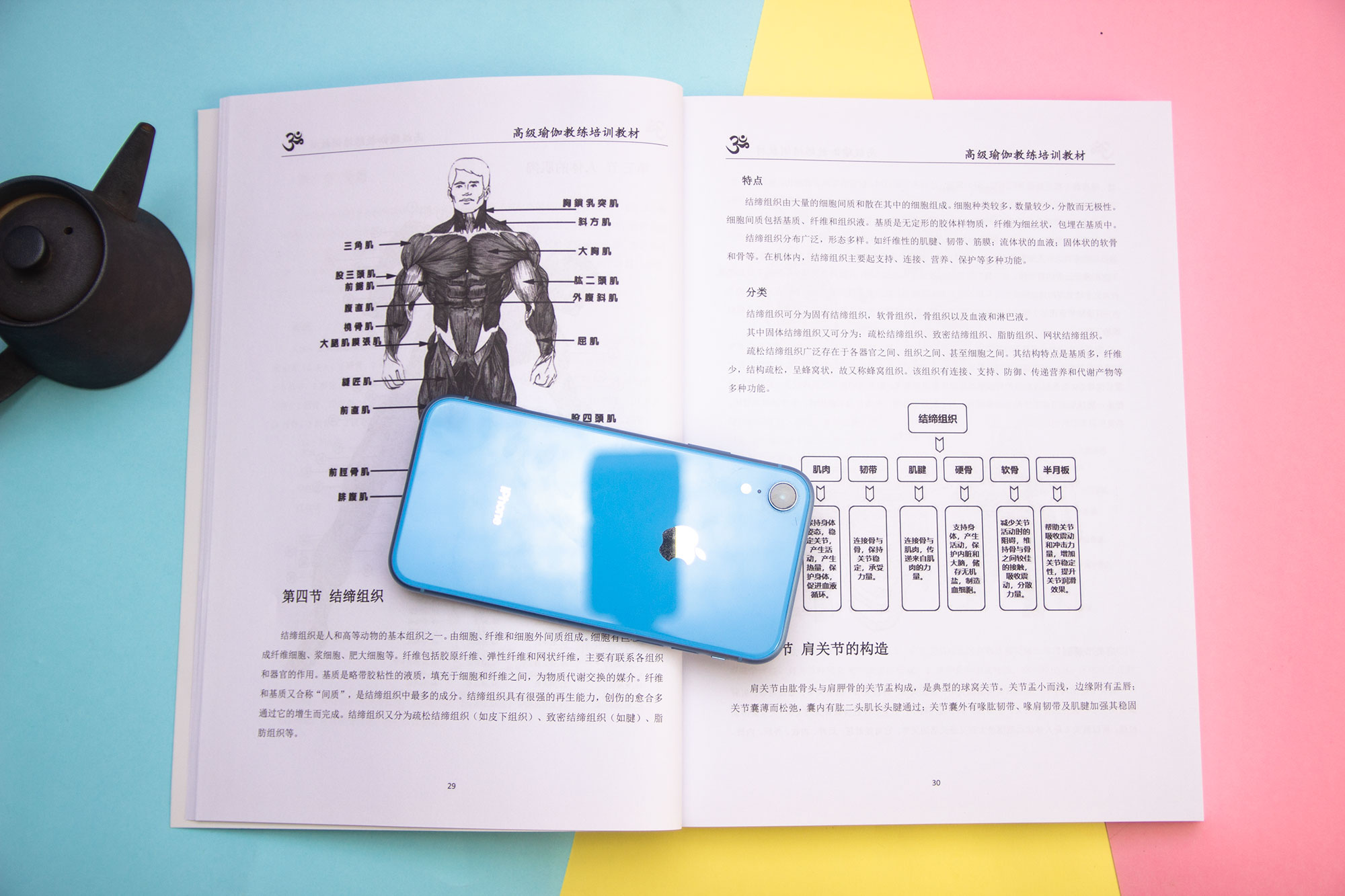 瑜伽教练培训教材目录(图4)