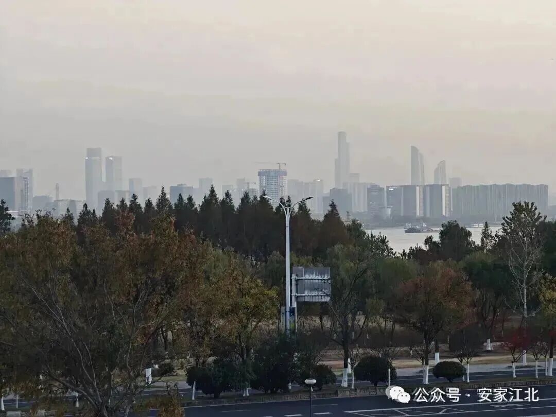 刚刚回复：即将上围挡！4号线二期“关键卡点”被清除(图7)