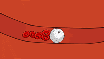 瑜伽这场“骗局”到底忽悠了多少中国女人(图6)