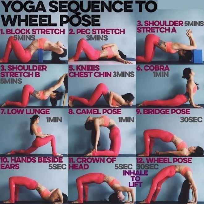 九游体育：20式瑜伽体式分解图全面了解瑜伽成为一个真正的伽人！(图1)