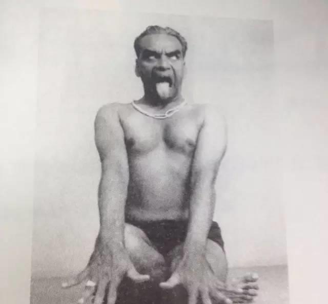 九游体育：瑜伽动物体式大全赶快收藏！(图1)