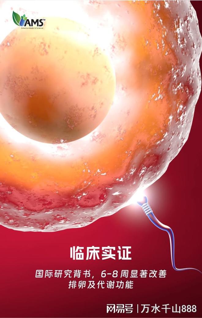 春风有信好孕可期：胖妈妈的温柔备孕路(图3)