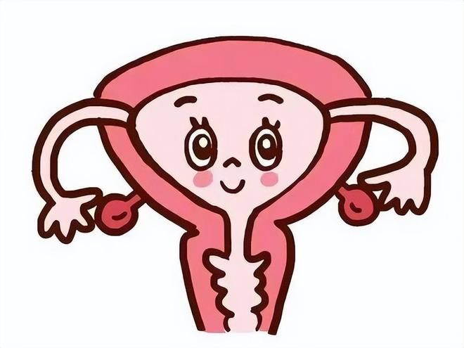 怀孕期间子宫变化有多大？这些变化超出了想象(图3)